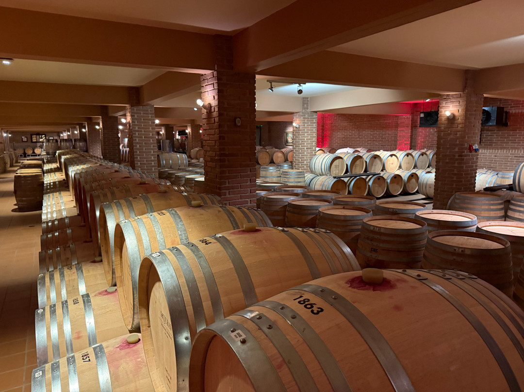 Domaine Skouras Winery-Argos必去景点