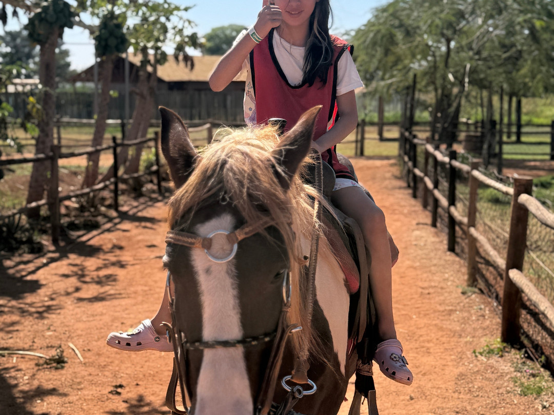Barretos Country Thermas Park-Barretos必去景点