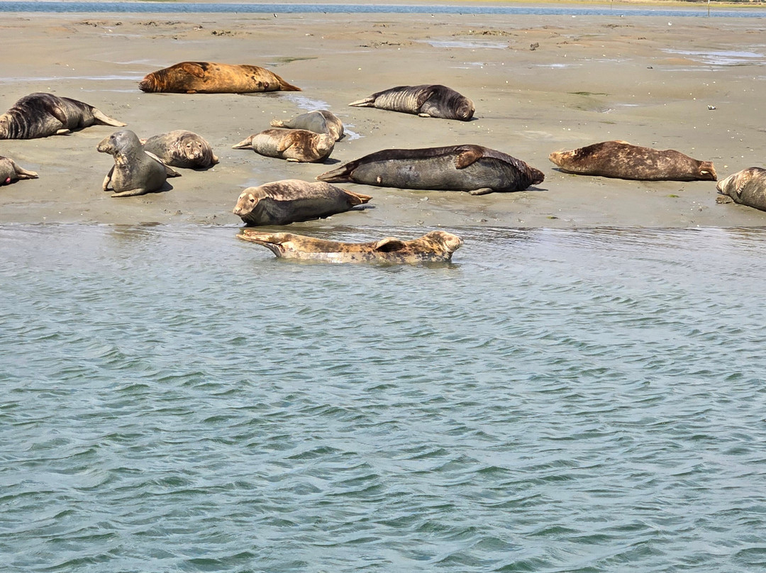 Chichester Harbour Water Tours-West Itchenor必去景点