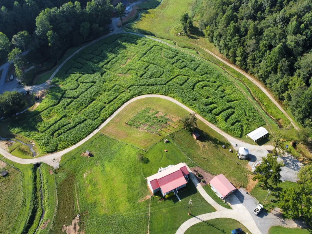 Ellijay Corn Maze-Ellijay必去景点