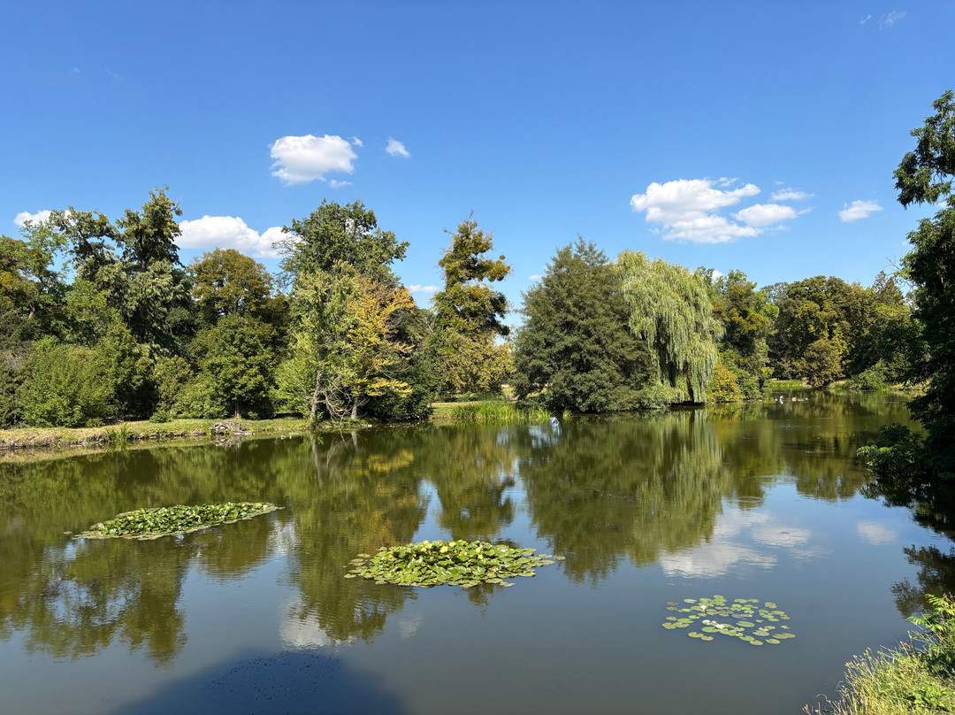 Rúzový Rybnik (Rúzový Sea)
