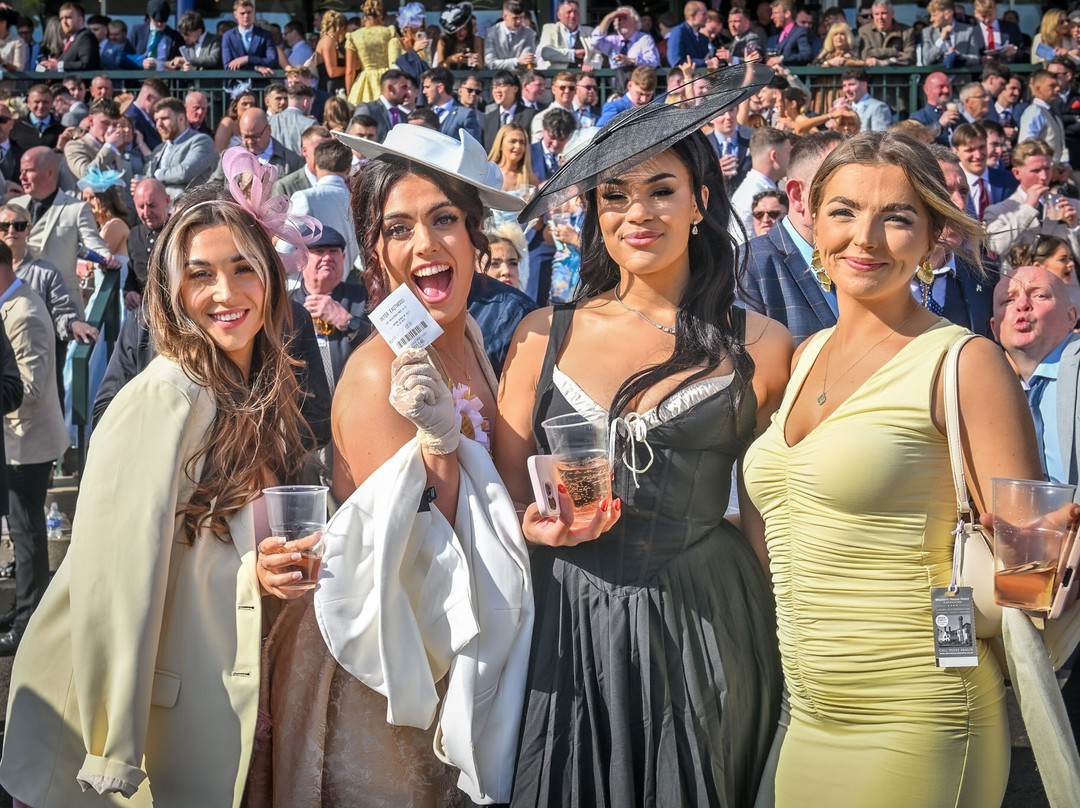 The Races at Ayr Racecourse-艾尔必去景点