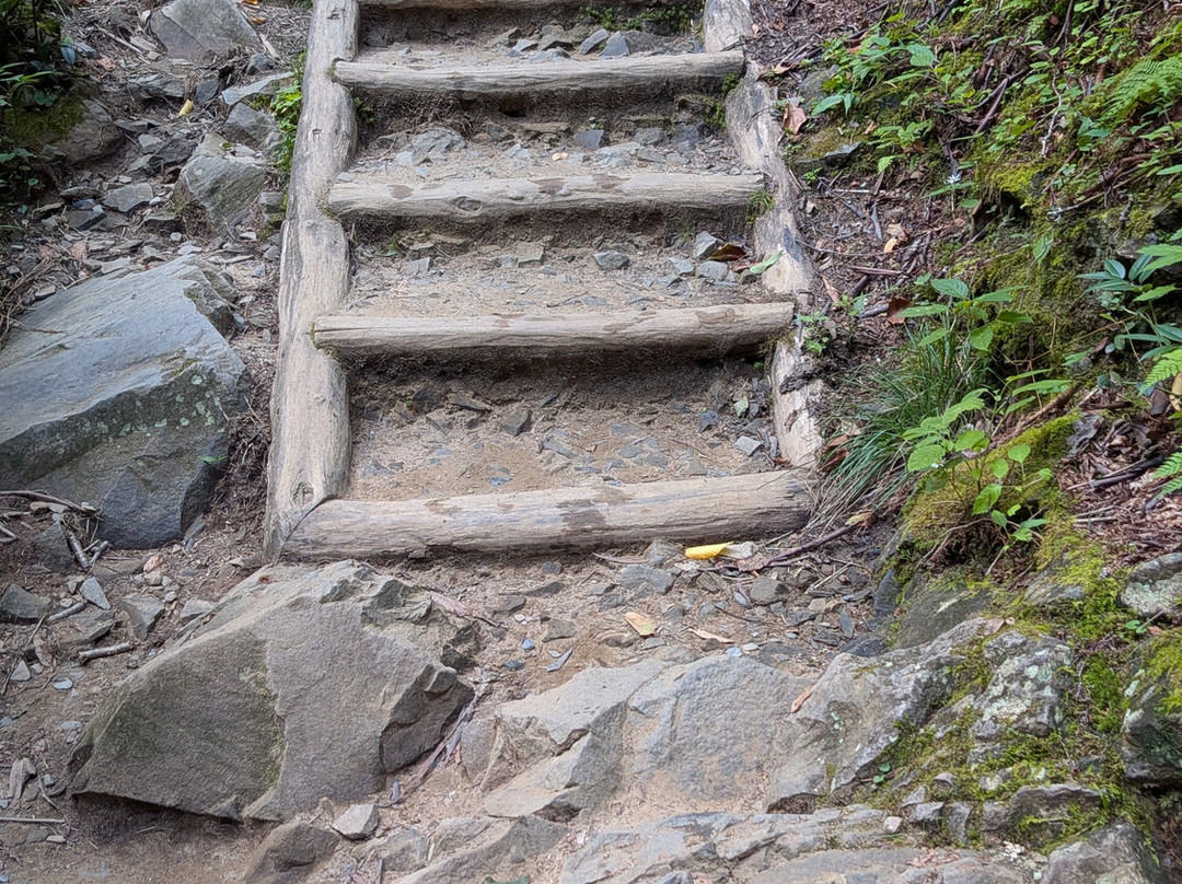 Grotto Falls Trail-大雾山国家公园必去景点