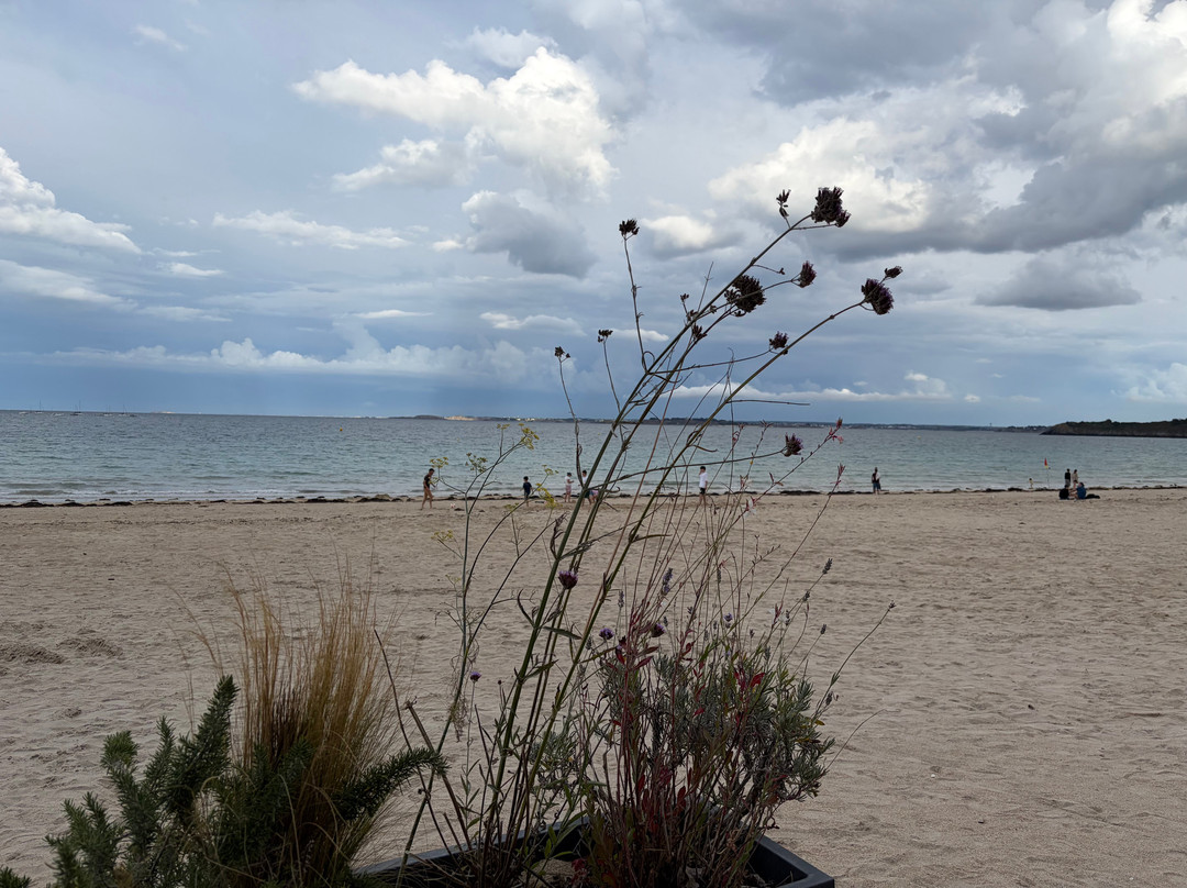 Les Pieds Dans Le Sable