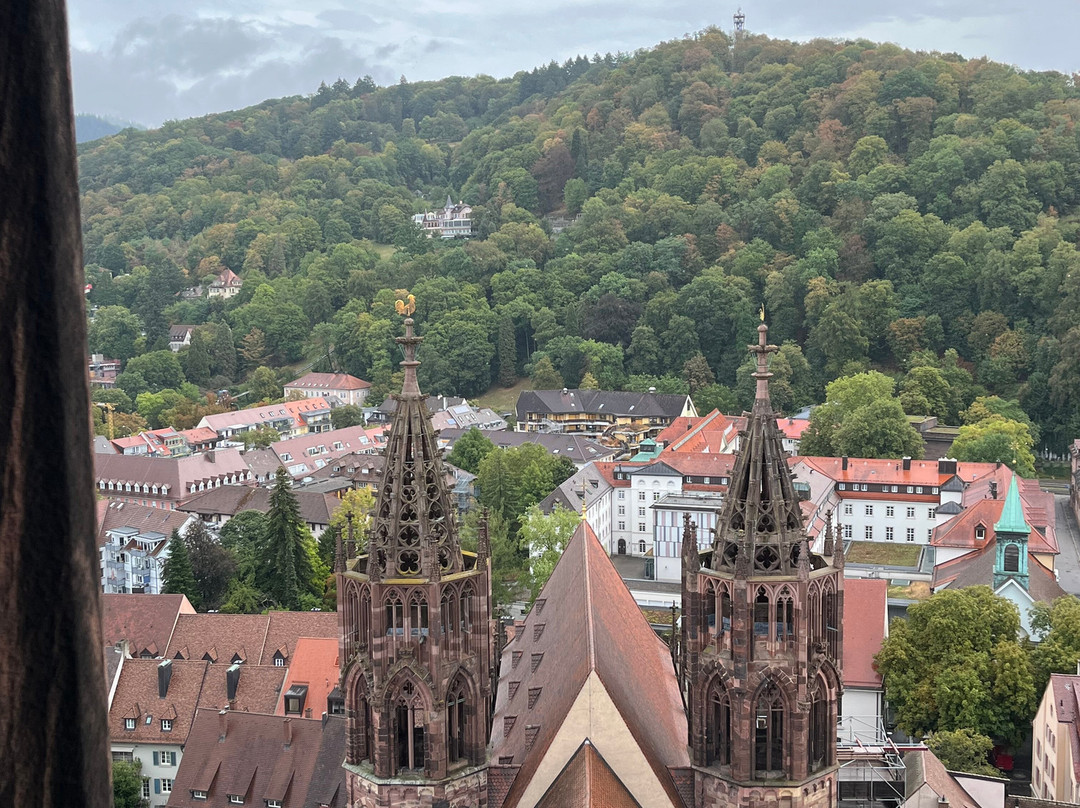 Freiburg Cathedral-佛莱堡必去景点