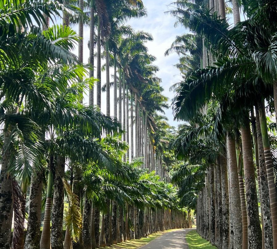 On The Go Ceylon Tours-Yakkala必去景点