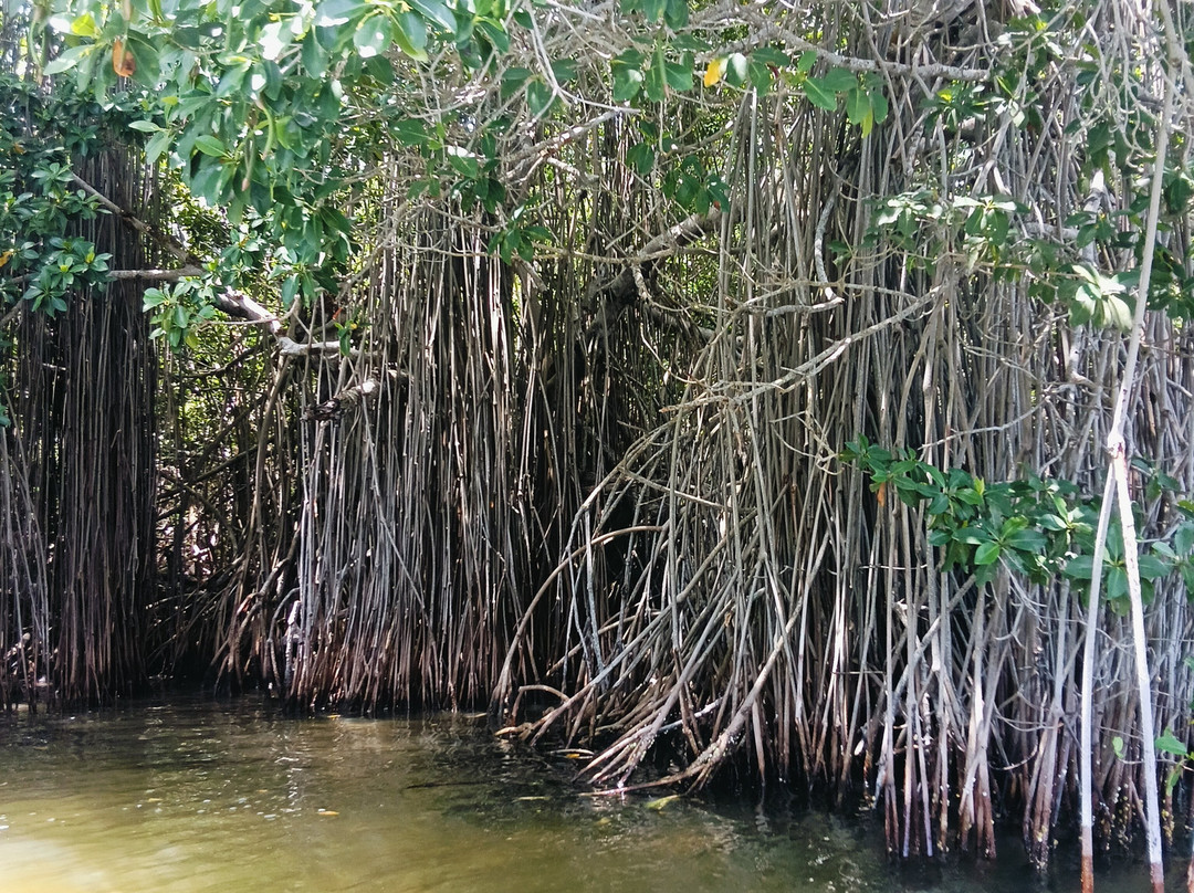 MAYA QUEST Travel & Tours-巴利亚多利德必去景点