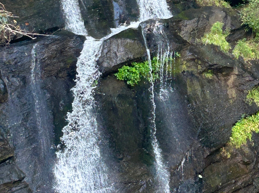 Jocassee Lake Tours-Salem必去景点