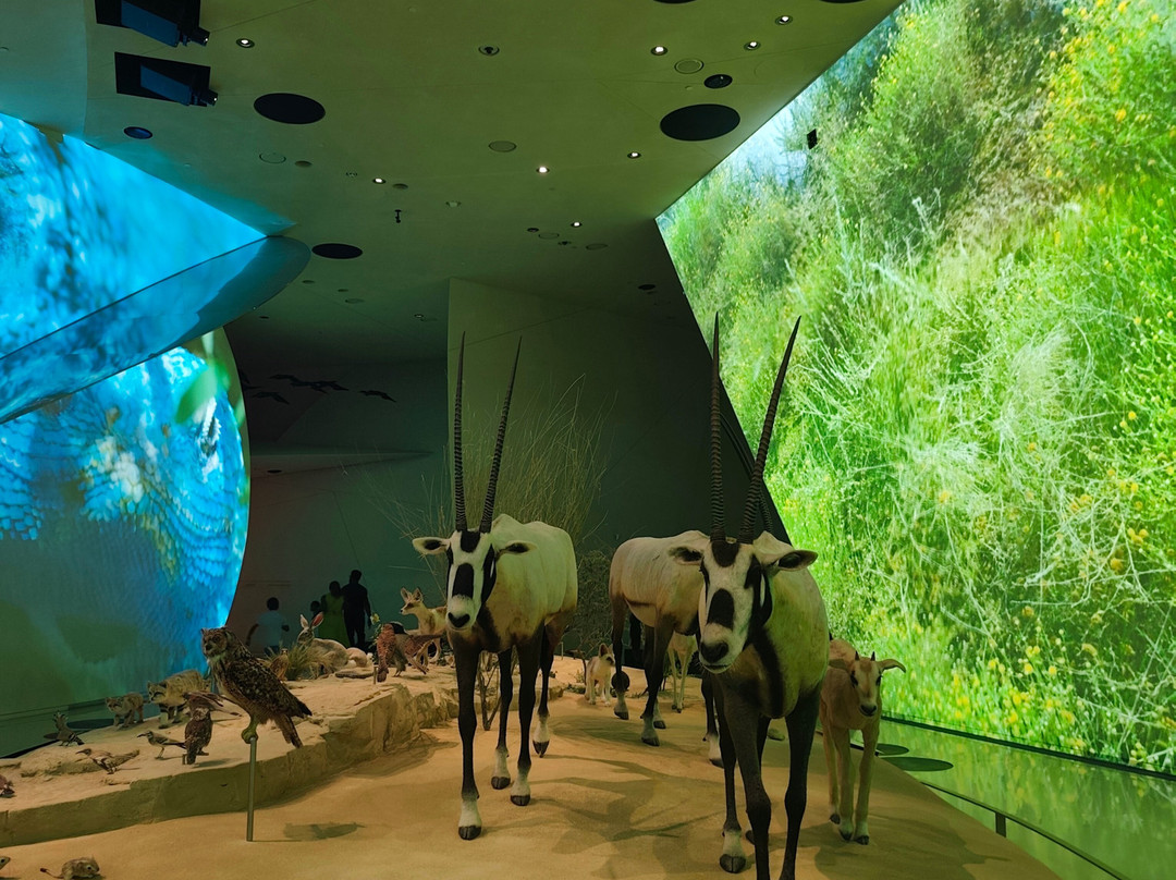 National Museum of Qatar-多哈必去景点