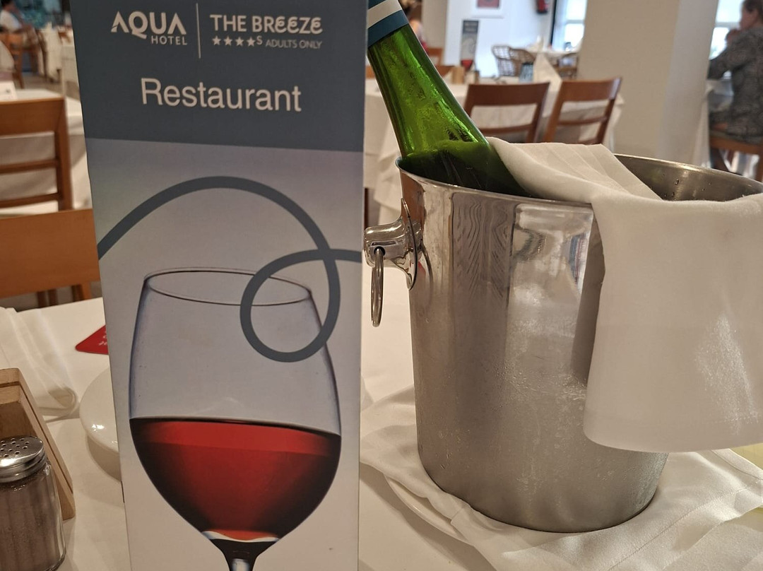 AQUA酒店微风水疗中心 - 全包 - 限成人+18主图