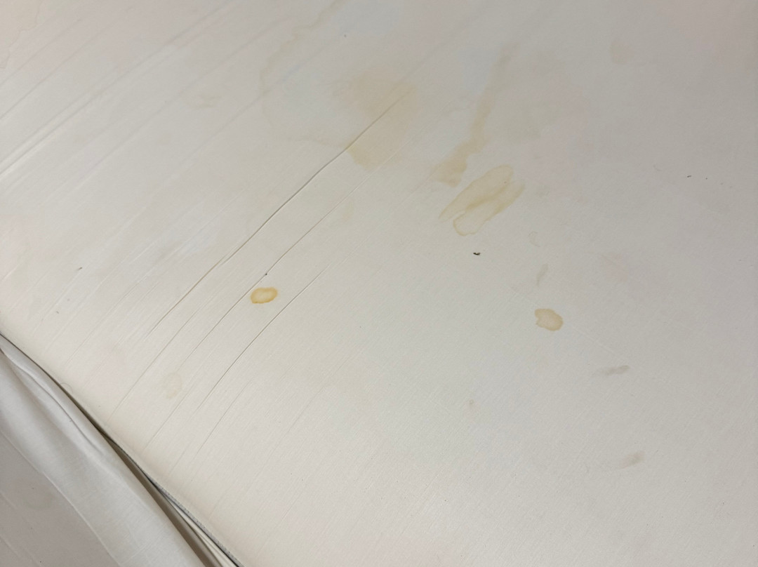 厄尔巴露西亚运动套房酒店主图