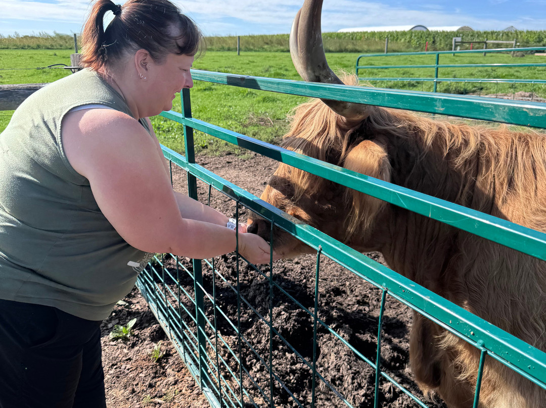 Udderly Ridiculous Farm Life-Blandford-Blenheim必去景点