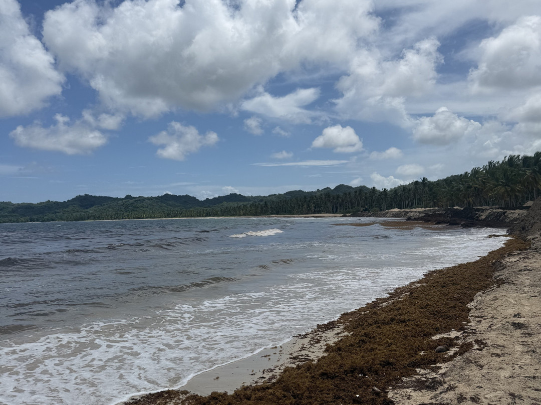 Playa Rincon-萨马纳半岛必去景点