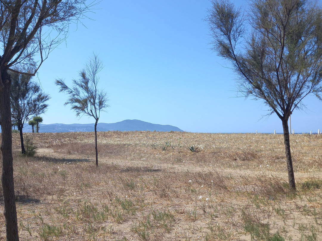 Otium Mare Felix-Paestum必去景点