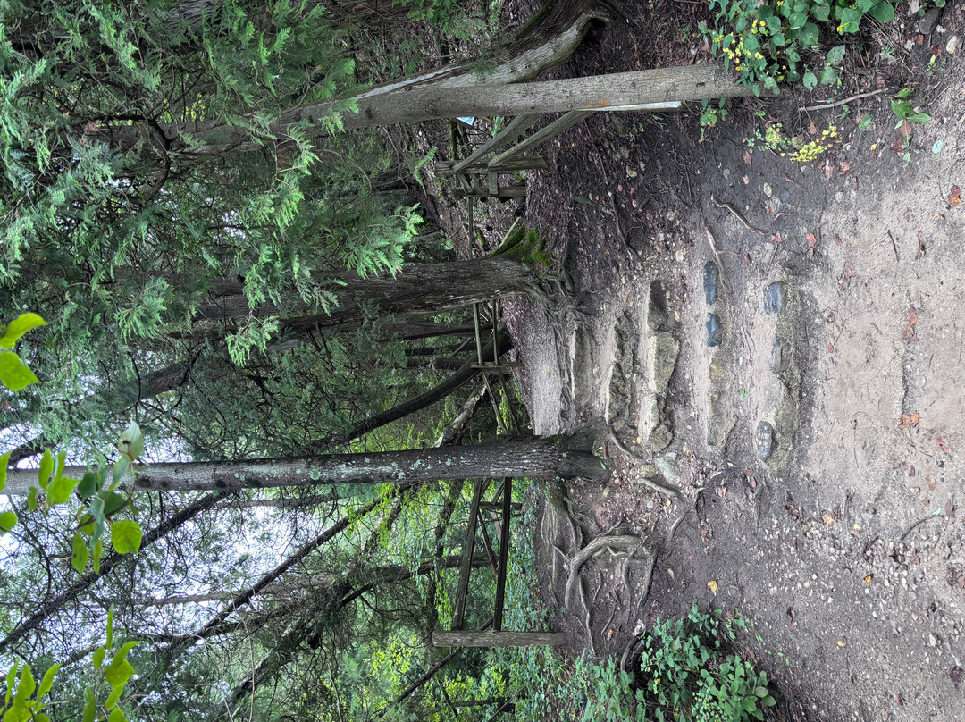 Lion's Den Gorge Nature Preserve-Grafton必去景点