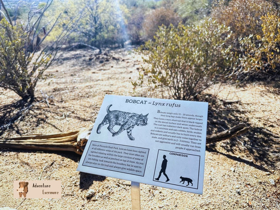 Pinnacle Peak Park-斯科茨代尔必去景点