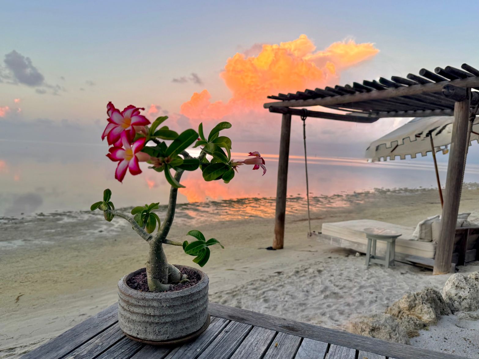 Little Palm Island-旅行者