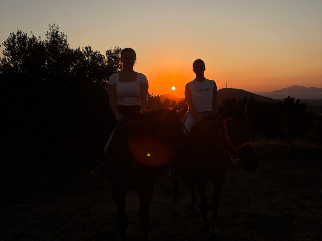 Paradise Ranch Kos Mountain Horse Riding-Asfendiou必去景点