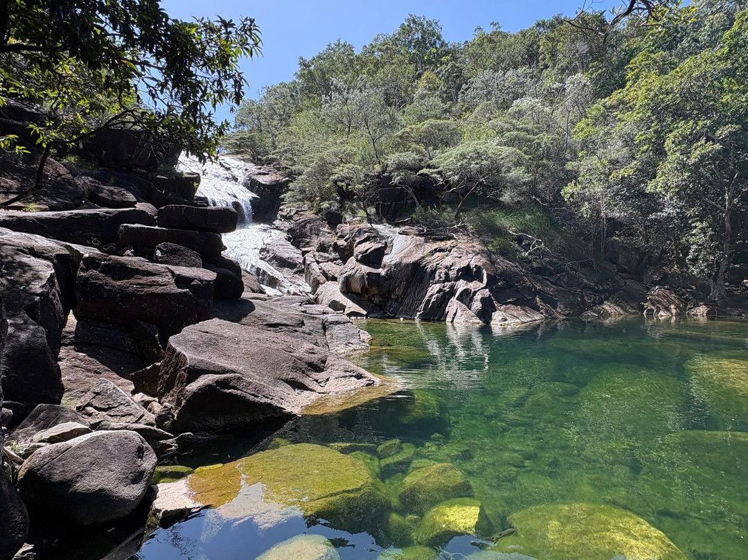 Absolute North Charters-Hinchinbrook Island必去景点