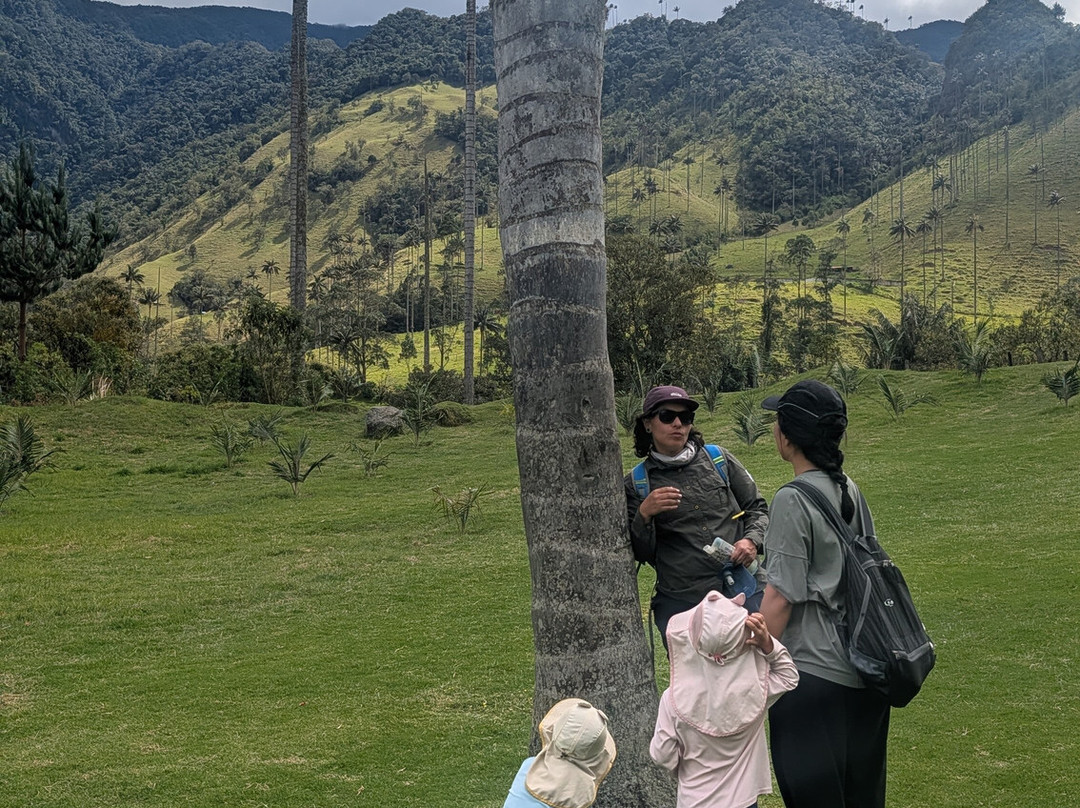 Paramo Trek Salento-萨伦托必去景点