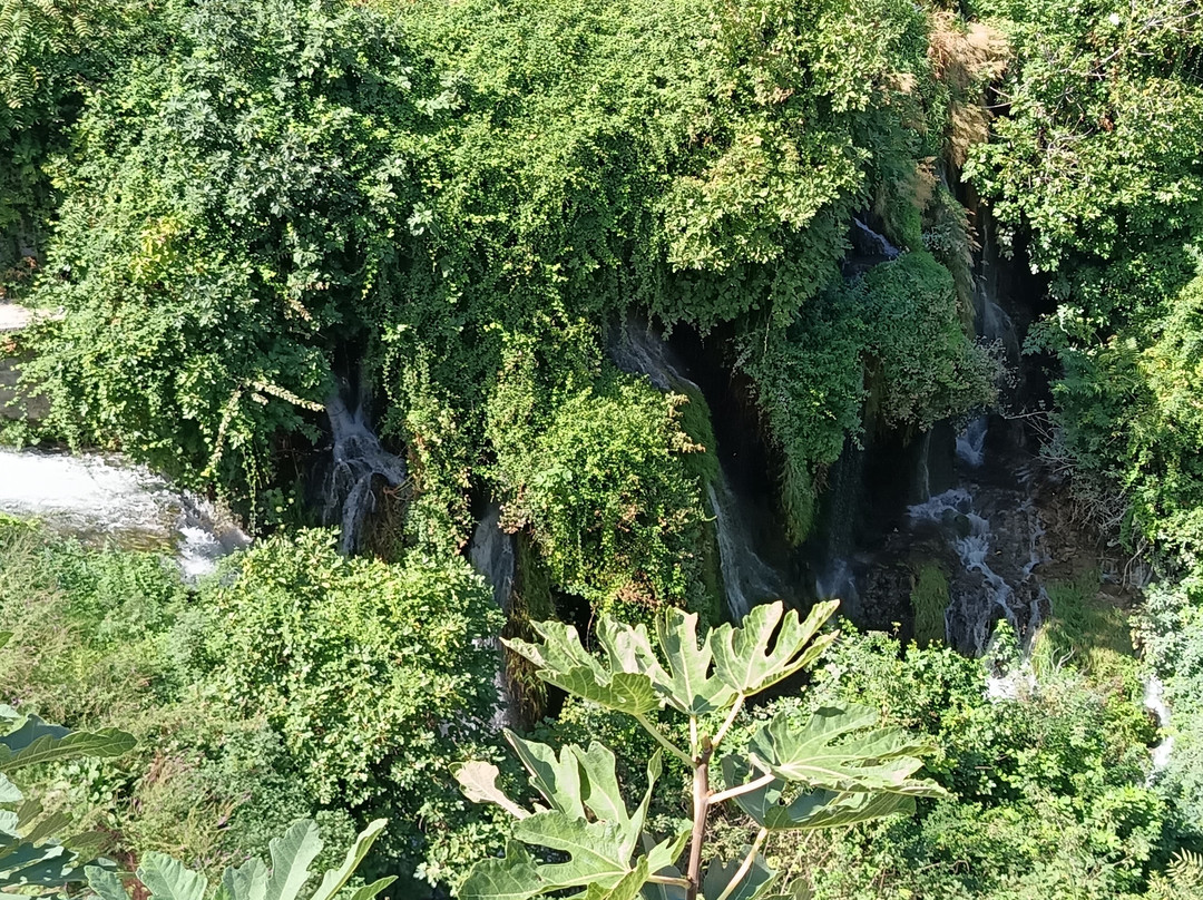 格列高里别墅公园-蒂沃利必去景点