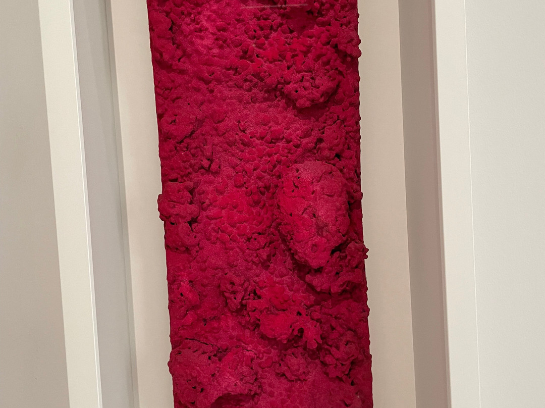 Stedelijk Museum Schiedam-Schiedam必去景点