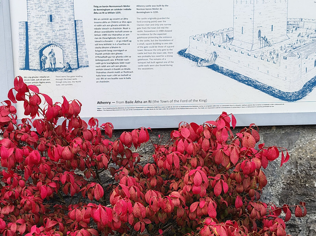 Athenry Castle-Athenry必去景点