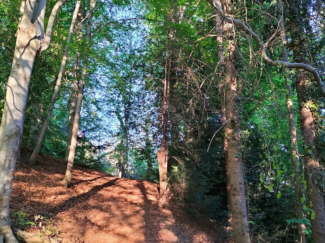 Parco della Burcina-Pollone必去景点