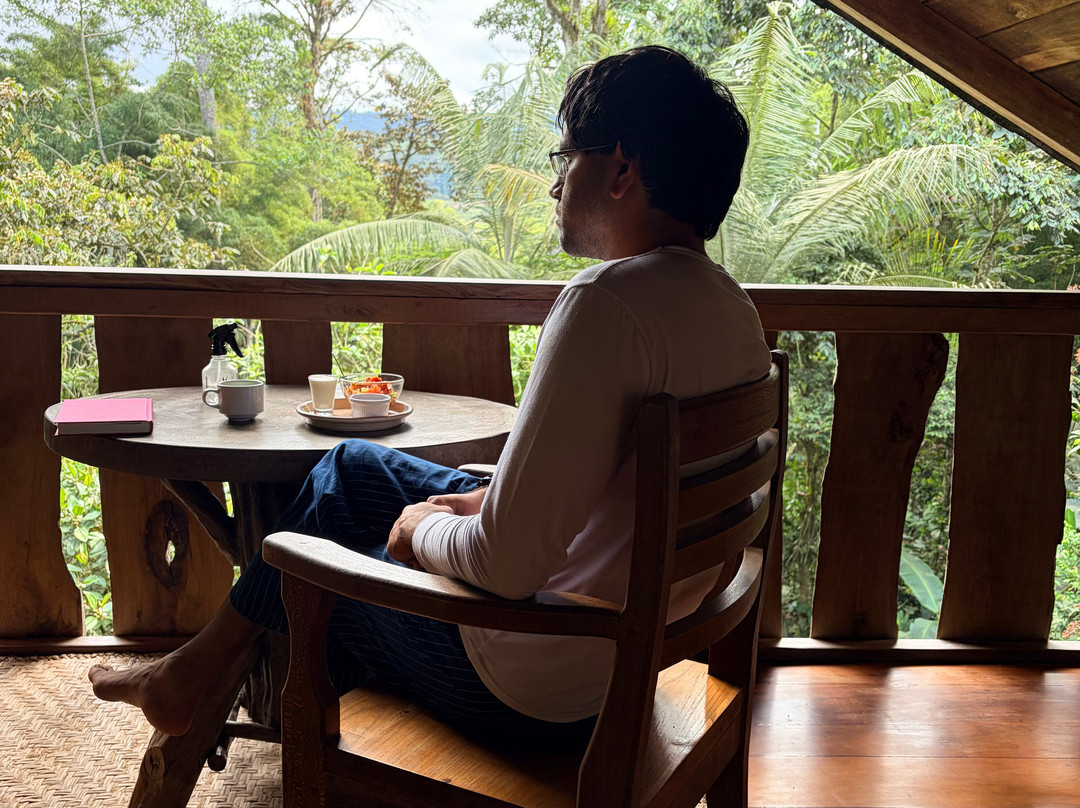 迪威那之家生态郊外小屋主图