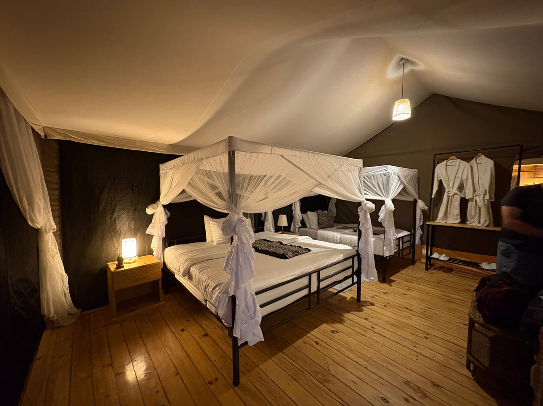 Friends Camps and Lodge-Seronera必去景点
