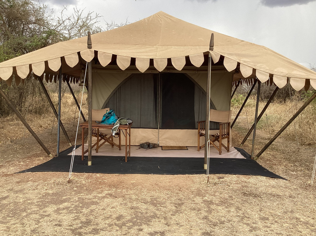 Thomson Safaris
