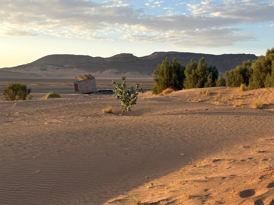 Loud Sahara Day Tours-扎古拉必去景点