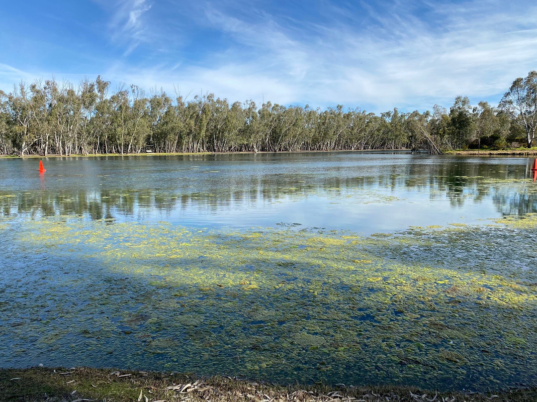 Nhill Lake-Nhill必去景点