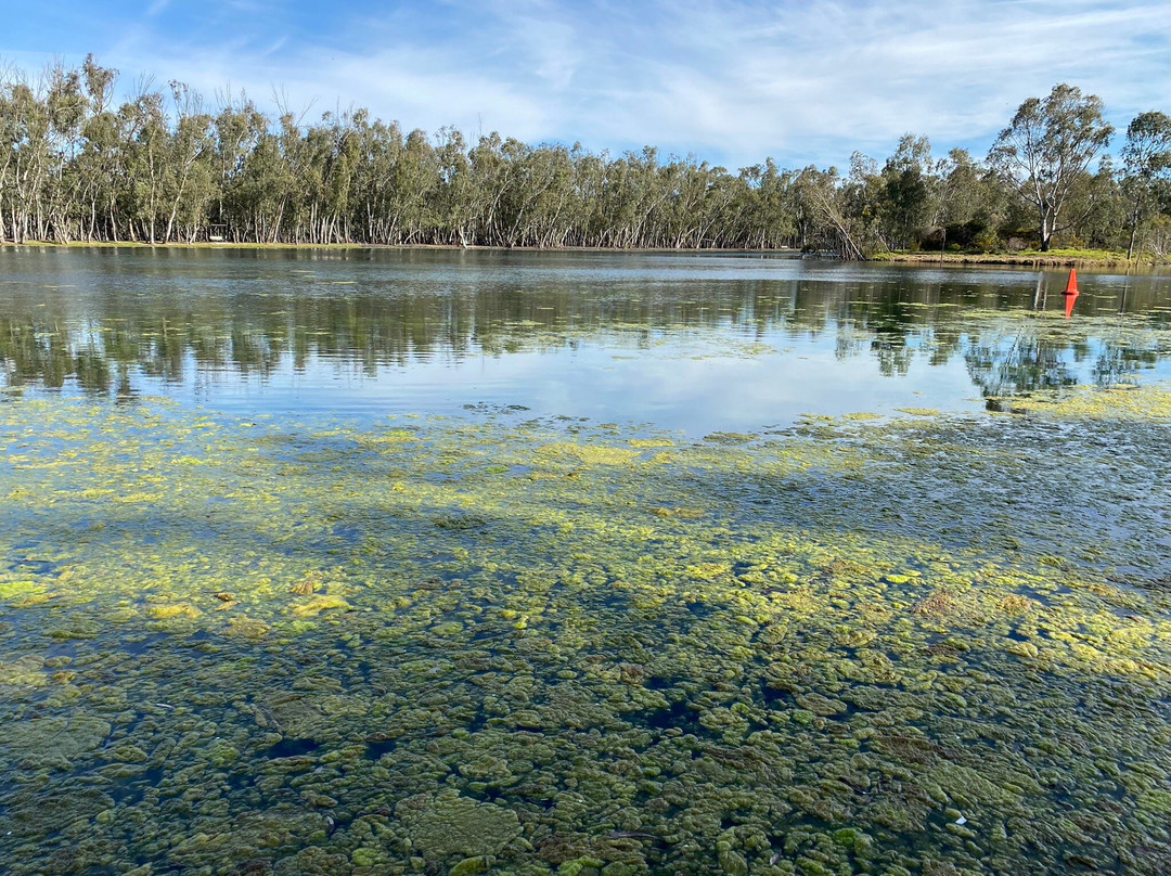 Nhill Lake-Nhill必去景点