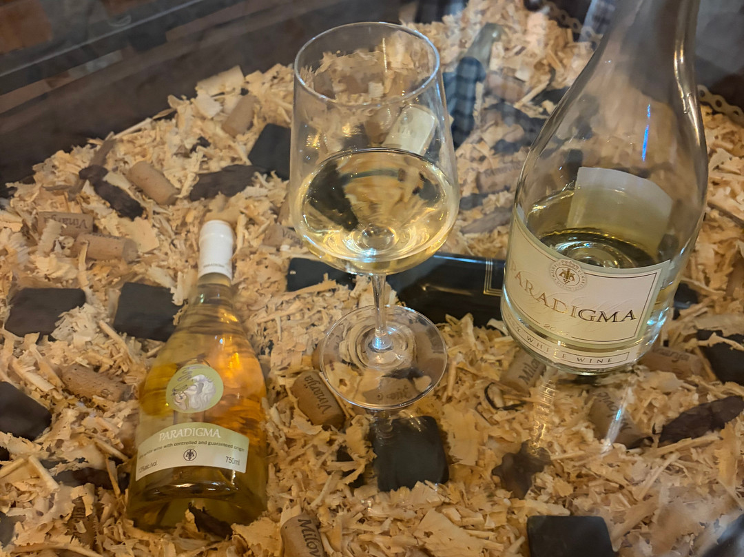 Milovic Winery-乌尔齐尼必去景点
