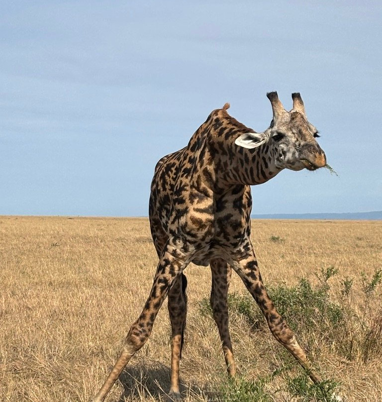 Unlimited Expeditions - The Soul Of Tanzania-阿鲁沙必去景点