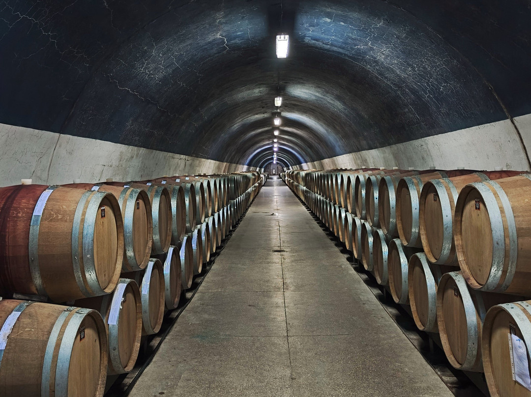 Massandra Winery-Massandra必去景点