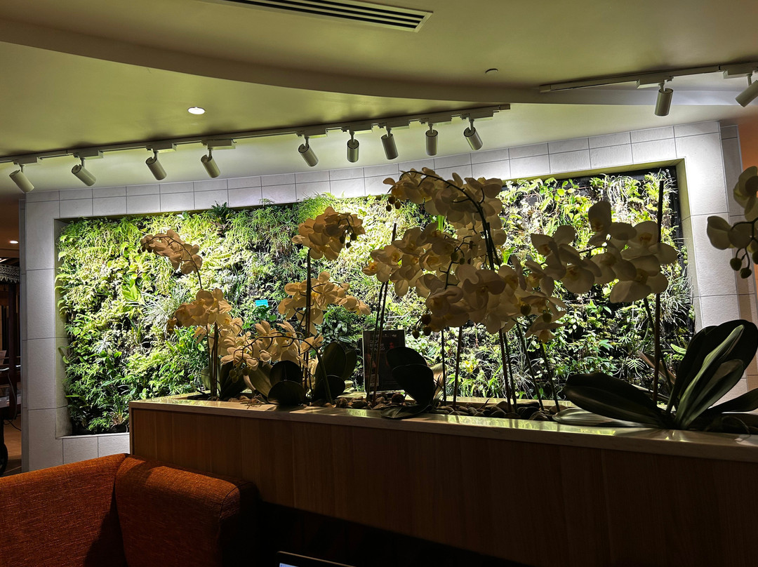 Fiji Airways Premier Lounge-纳迪市必去景点