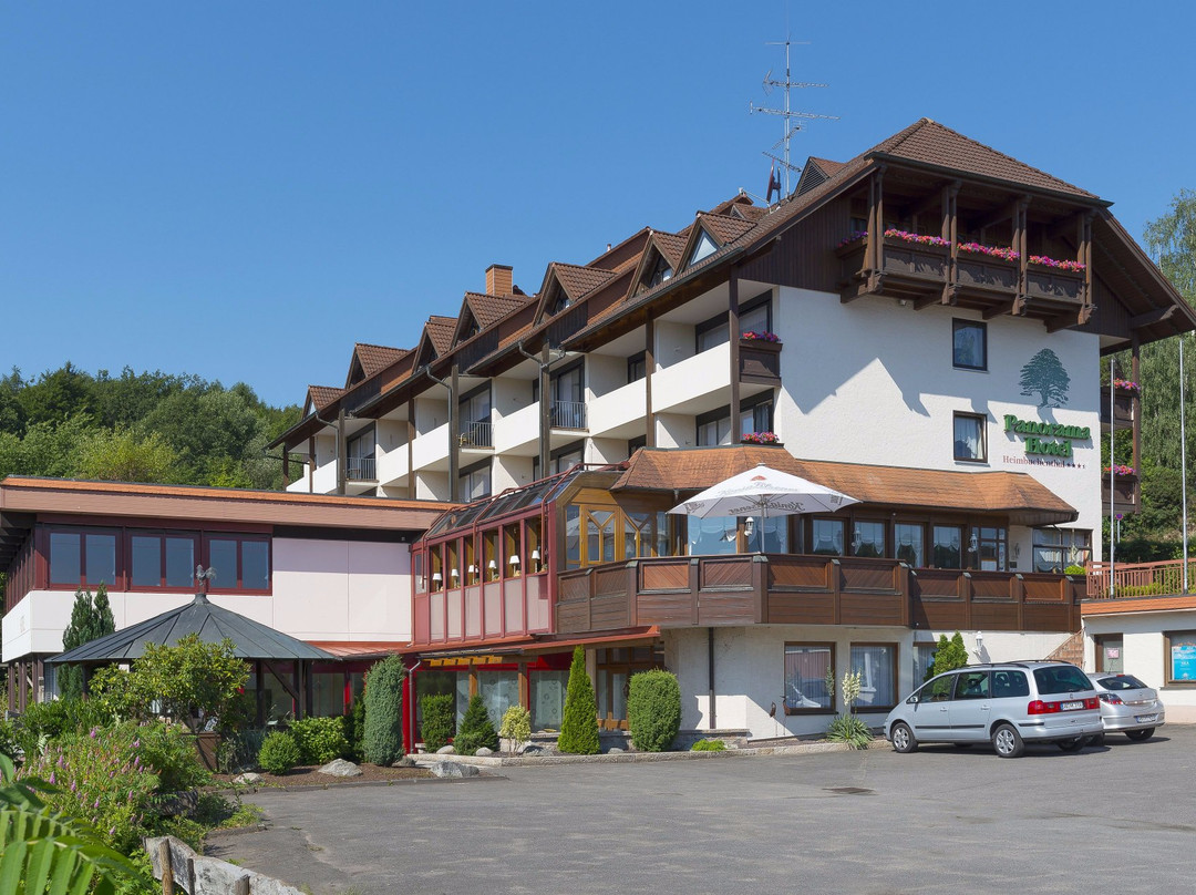 Heimbuchenthal旅游攻略图片