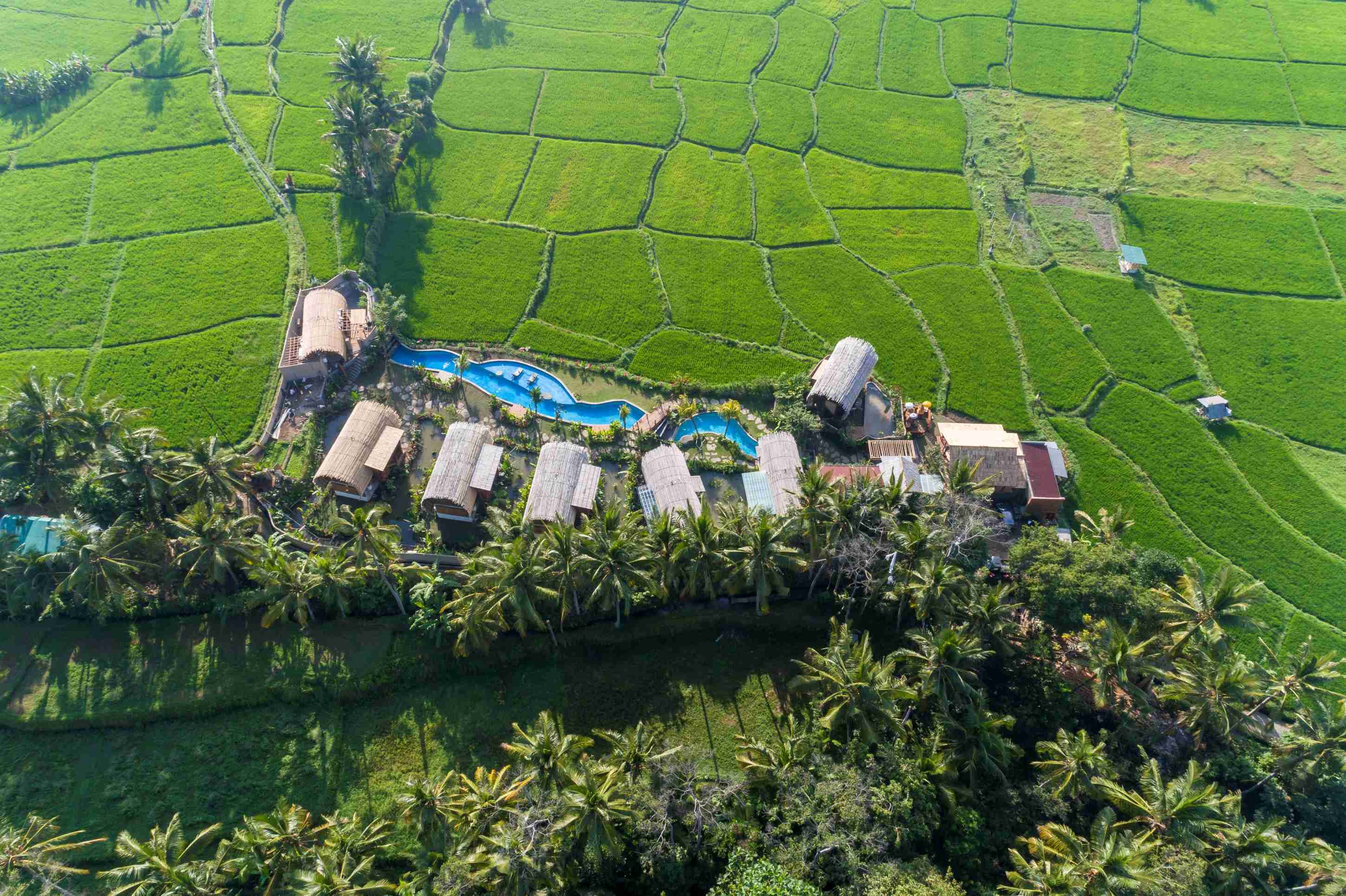 Beehouse Dijiwa Ubud-官方