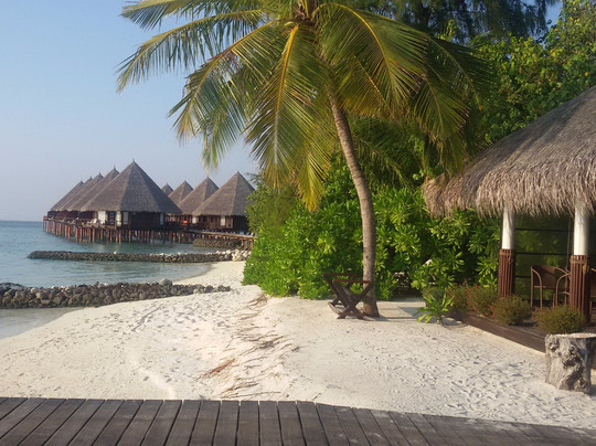 维利多岛度假村