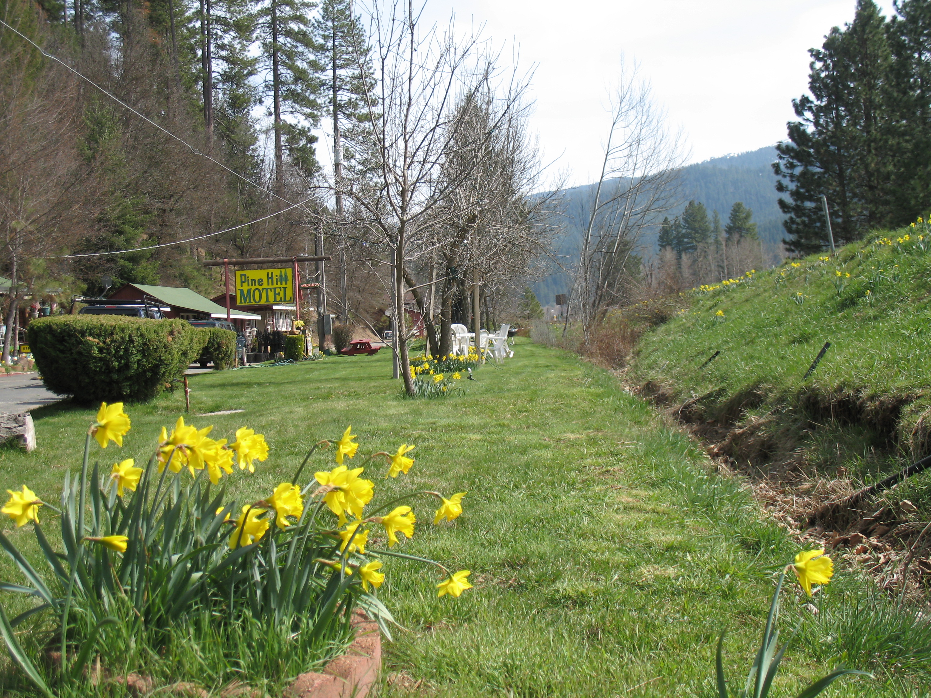 Pine Hill Motel-官方