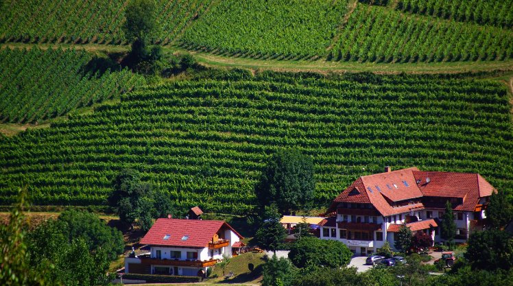 Hotel Restaurant Wissers Sonnenhof-官方