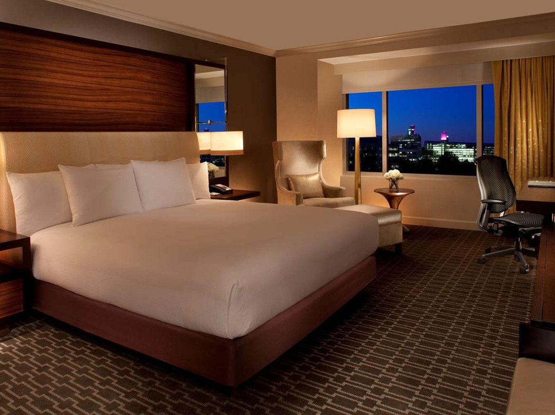 麦克莱恩泰森斯科纳希尔顿酒店主图