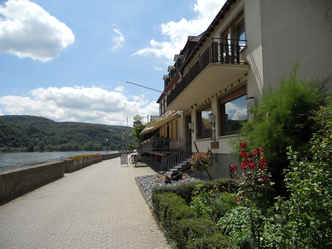 Dachsenhausen酒店住宿-Rheinhotel  Zum Anker