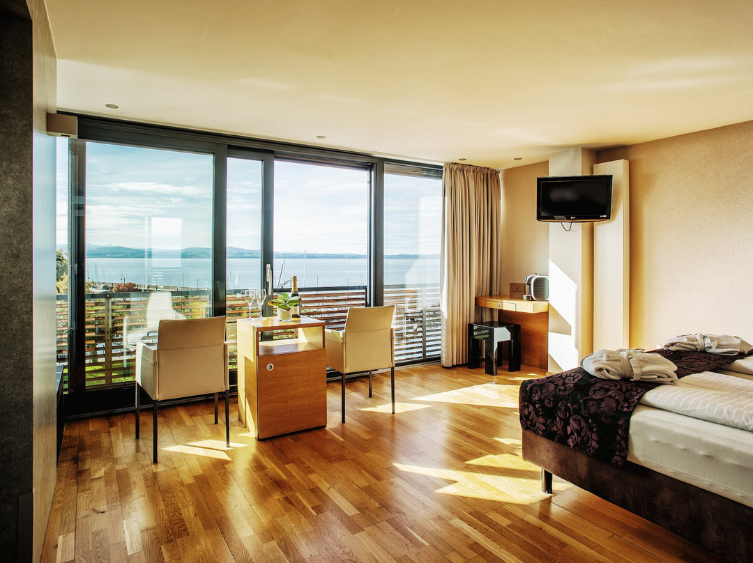 Langenargen酒店住宿-Seehotel Litz