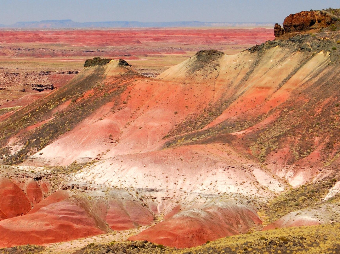Painted Desert景点图片