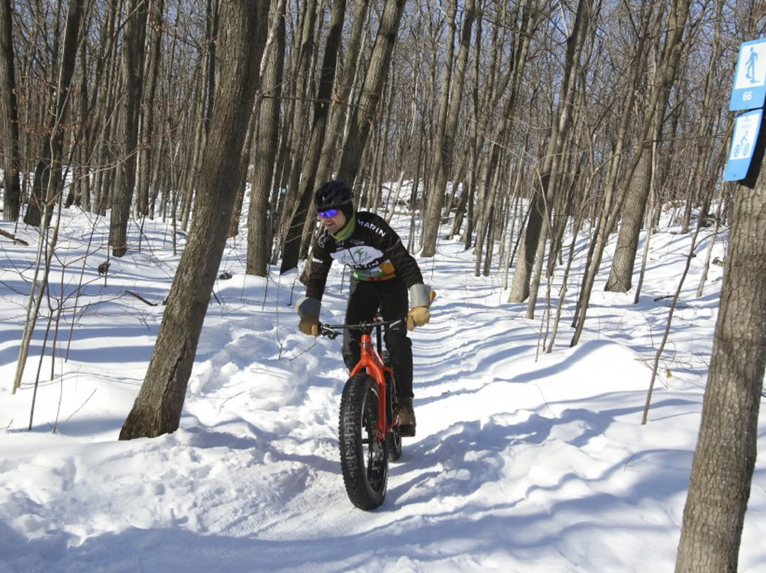 Holiday Inn Express & Suites Gatineau - Ottawa by IHG主图