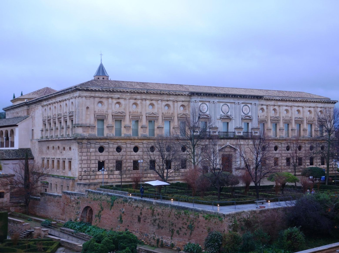 卡洛斯五世宫殿景点图片