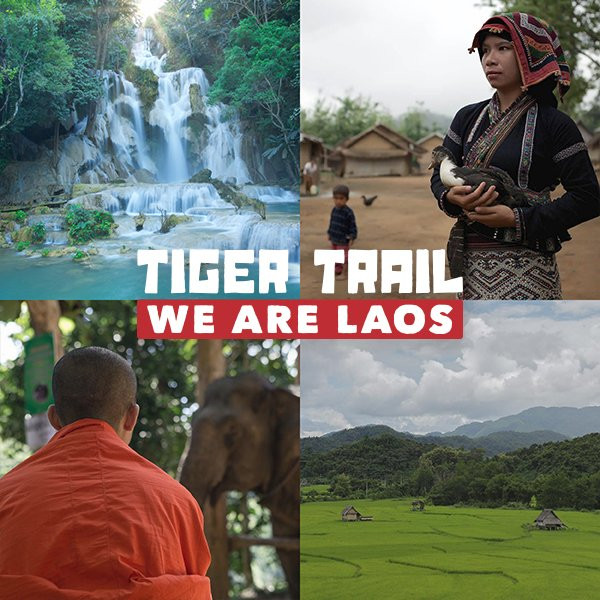 Tiger Trail Travel-琅勃拉邦必去景点